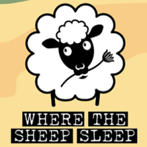 sheep225